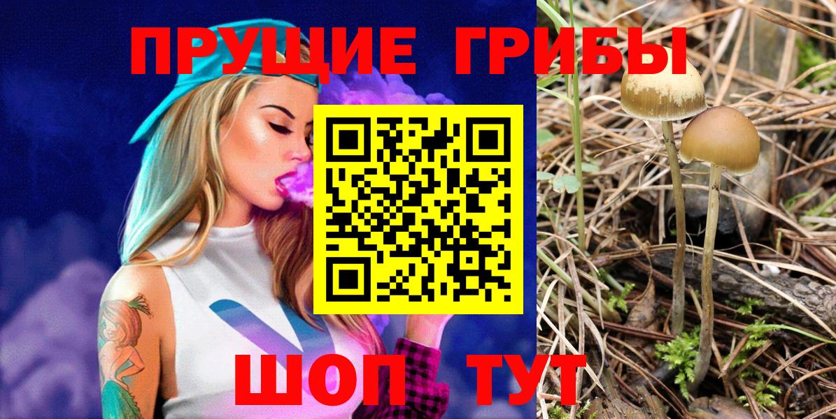 наркотики  Галлюциногенные грибы мухоморы  Скопин  Вход с VPN  Псилоцибиновые грибы Psilocybine cubensis 